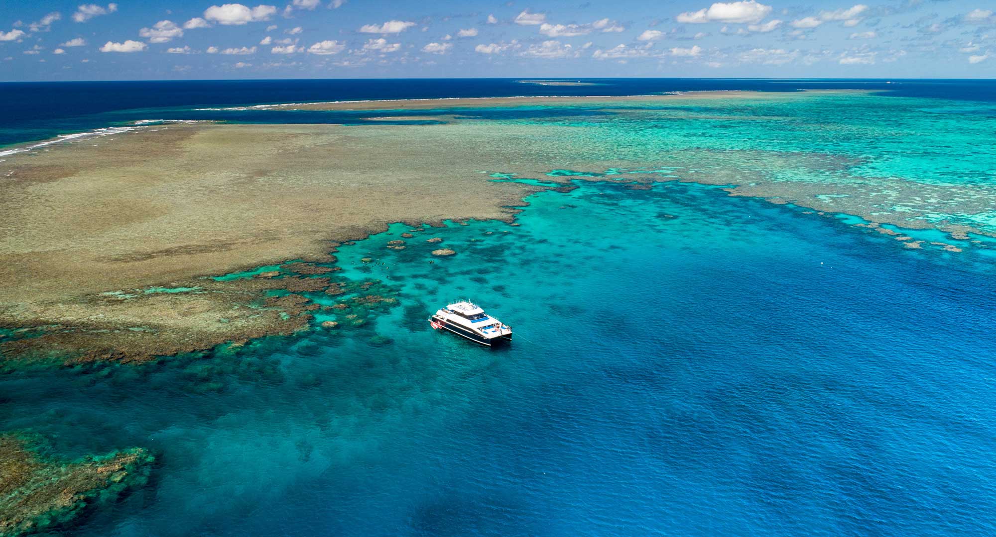 calypso outer great barrier reef cruise from port douglas