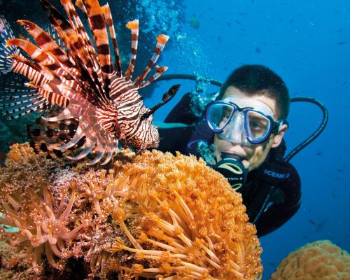 australian-great-barrier-reef-10