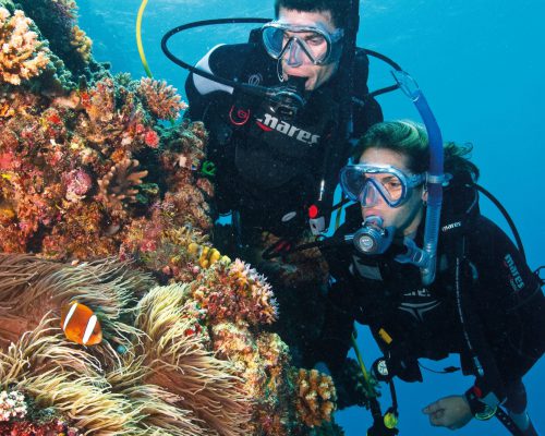 australian-great-barrier-reef-14