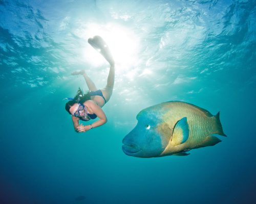 australian-great-barrier-reef-15