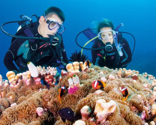 australian-great-barrier-reef-17