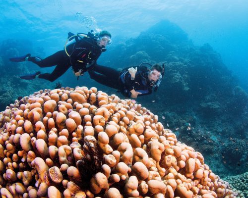 australian-great-barrier-reef-4