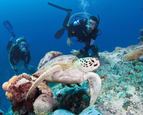 australian-great-barrier-reef-7