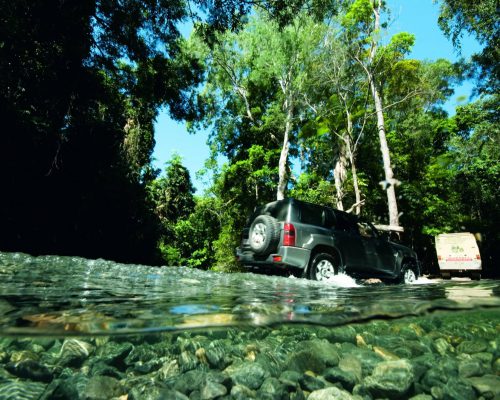 daintree-forest-4wd-tour-1