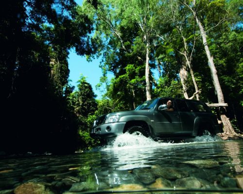 daintree-forest-4wd-tour-3