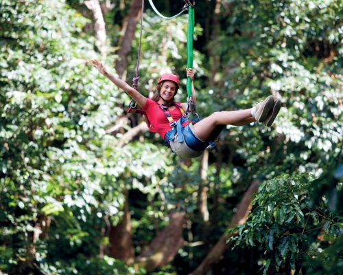 daintree-national-park-queensland-1