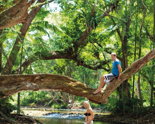 daintree-national-park-queensland-15