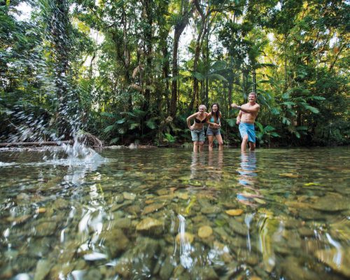 daintree-national-park-queensland-16