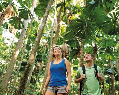 daintree-national-park-queensland-19