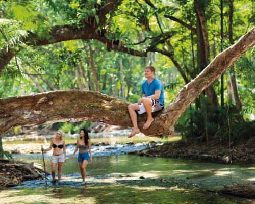 daintree-national-park-queensland-5