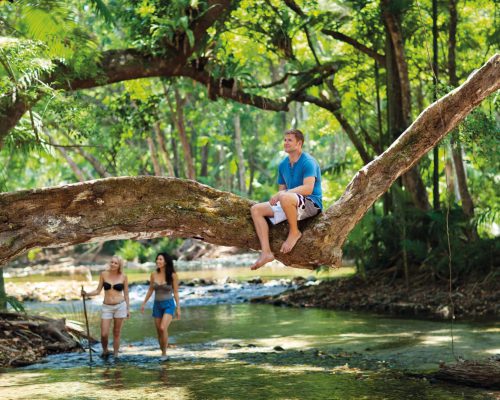 daintree-national-park-queensland-5