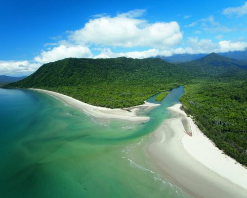 daintree-rainforest-tour-1