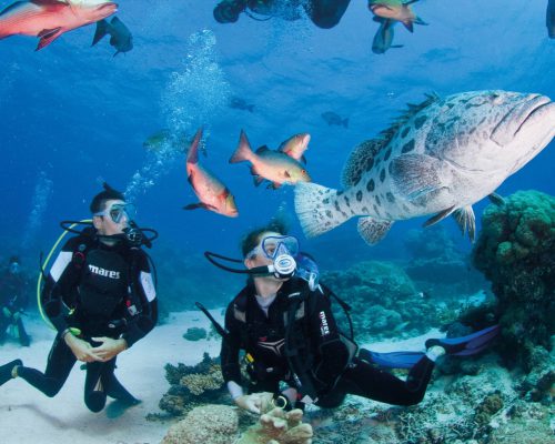 great-barrier-reef-australia-10