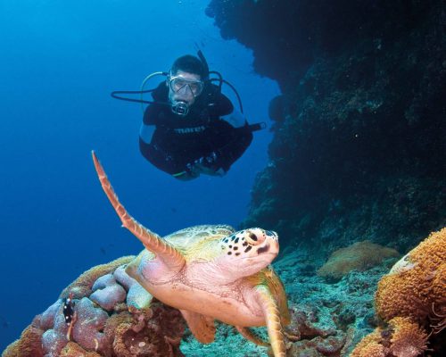 great-barrier-reef-australia-12