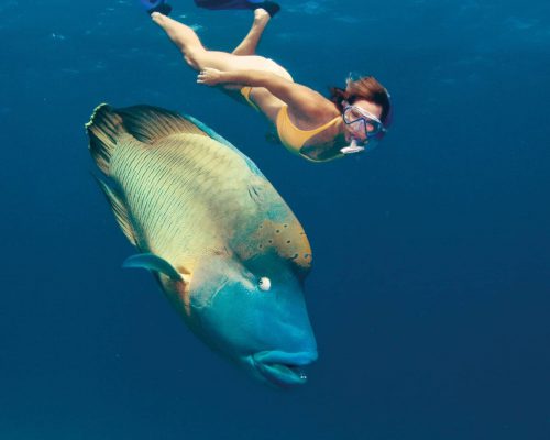 great-barrier-reef-australia-13