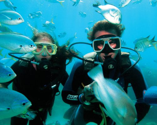 great-barrier-reef-australia-19