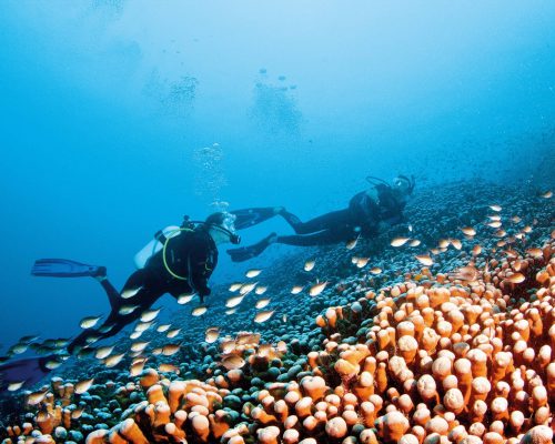 great-barrier-reef-australia-5