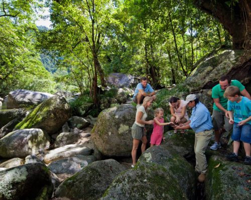 mossman-gorge-family-park-1