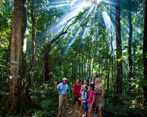 mossman-gorge-guided-tour-1