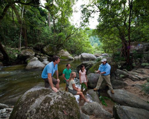 mossman-gorge-guided-tour-water-1