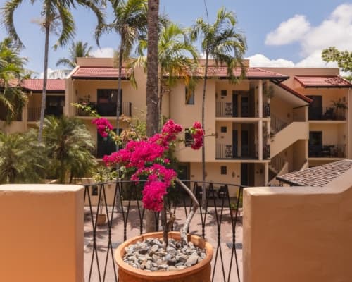 port-douglas-holiday-apartments (12)