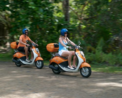 scooters-rainforest-port-douglas-cairns-1